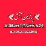 ATEŞ QUŞLARI/🕊پرندگان آتش🕊