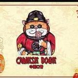 CHINESE DOGE
