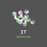 IT Crypto Services