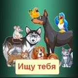 Потеряшки|Королёв, Щёлково, Мытищи