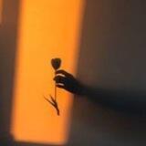 خٌ ـوُآطٌـرَ مِـبّـعَثًـرَة 🖤