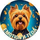 EMOTION и TEDA 🐕 (NFT/P2EARN)