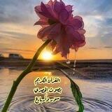 القرآن الكريم بصوت الحصري أرباع وسور كاملة رواية حفص عن عاصم من طريق الشاطبية