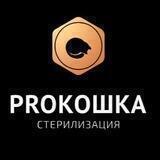 PROkoshka_2021