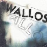 Wallos: open