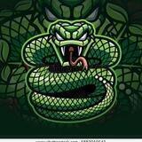 GREEN MAMBA🐍 CALL