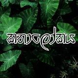 කතාලෝකය - ලියා අවසන් නවකතා