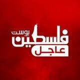 فلسطين بوست | عاجل