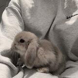 °•°💗•°•