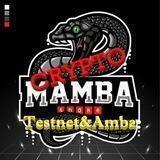 Testnet&Amba for CryptoMamba