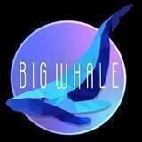 Big Whale Discussion🐳