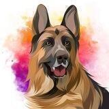 Shepherd Inu Official