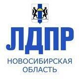 ЛДПР Новосибирская область