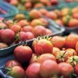 Ressources-alimentation - Diamants Libres