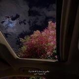 ﴿لَا تَحْزَنْ إِنَّ اللَّهَ مَعَنَا ۖ﴾