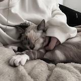 совмы//имена для виртовских
