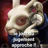 WhiteRabbit
