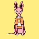 Sphynxcat coin