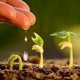 Agri Quiz 🌿✌️❤️ 🌿📗🍁☘️