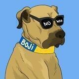 Boji Token