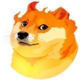 Fire Inu