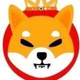 shib plus中文共识群