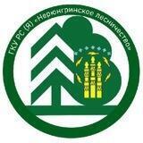 Нерюнгринское лесничество 🌲