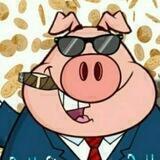 Bcs Gr Shitcoin