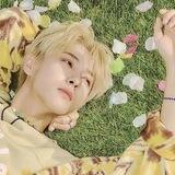 hfw pinned. — 𝐇𝐔𝐀𝐍𝐆 𝐑𝐄𝐍𝐉𝐔𝐍