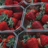 𝗥𝗲𝘀𝘂𝗹𝘁𝘀🍓