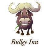 Bullge Inu | Tax 8/8%