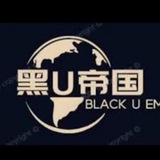 黑U帝国 USDT赚钱 USDT搬砖 黑U洗货