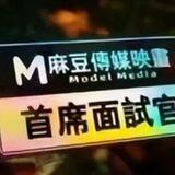 麻豆传媒 91视频 黄色 中文字幕