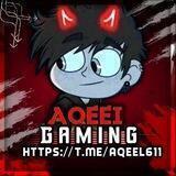 Aqeel Gaming