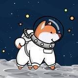 Space lnu