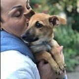 Animals - krishtalo_official