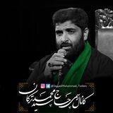 کانال رسمی حاج سیدمحمد ترکان