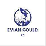 云上依云Ecould