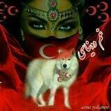 🇹🇷💔غـم دونیـاسـی💔🇹🇷