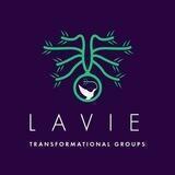 Lavie Group Calls