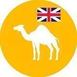 Arabic Cash - EN (Chat)