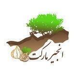 انجیر مارکت🌱