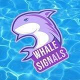 Whale Signals 🐋 100X
