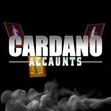 CARDANO ACCAUNTS