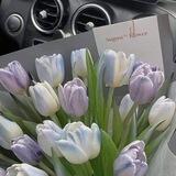 Tulip 💐