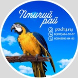Птичий рай Владивосток