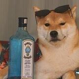花心犬小池子社区