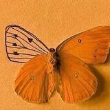 نثَراتُ دَّاعيه