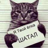 Руководствуясь законом и совестью…