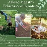 ALBERO MAESTRO NEMI🌿🖌️EVENTI